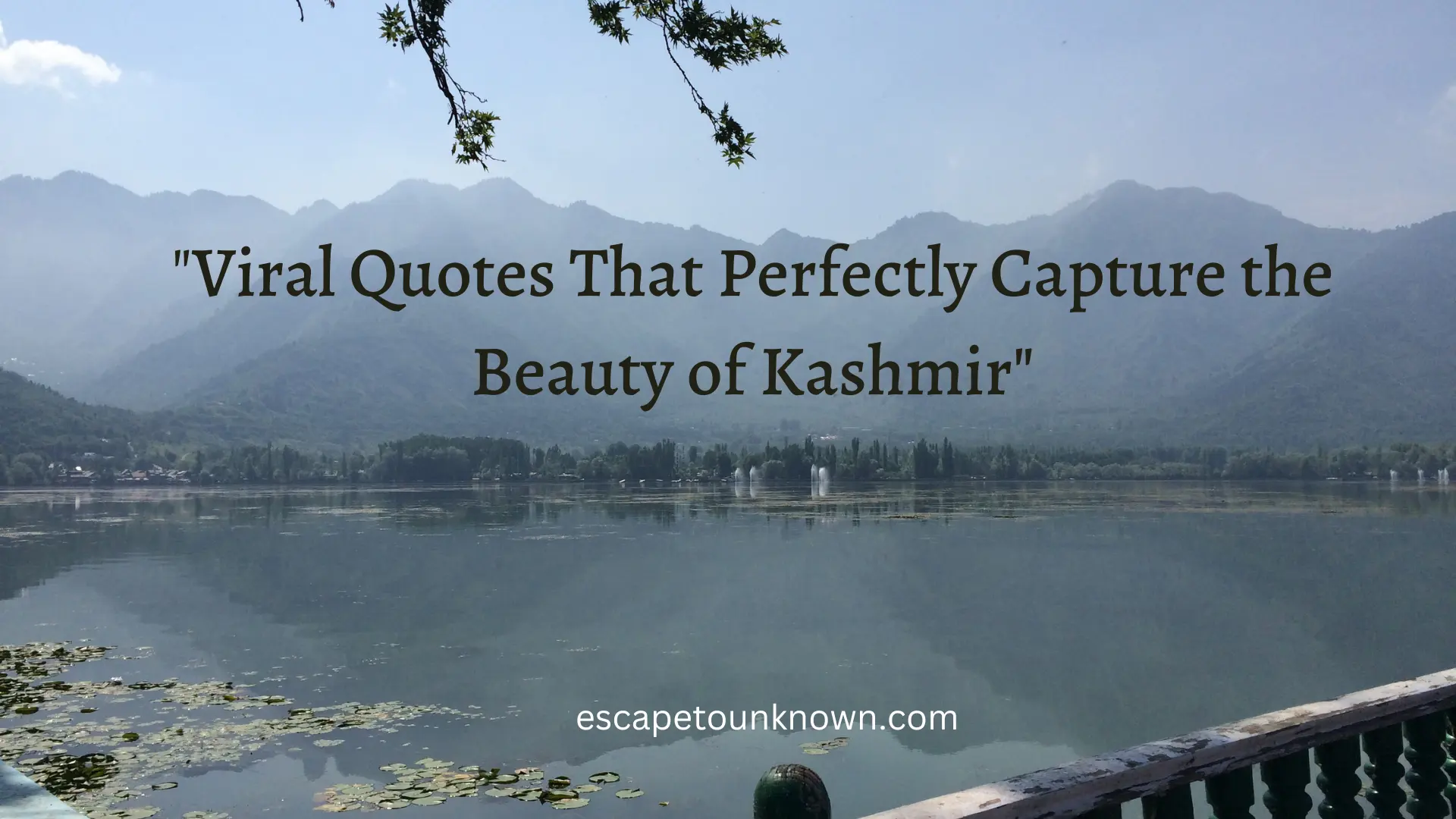 Kashmir Beauty Quotes (for Instagram captions)