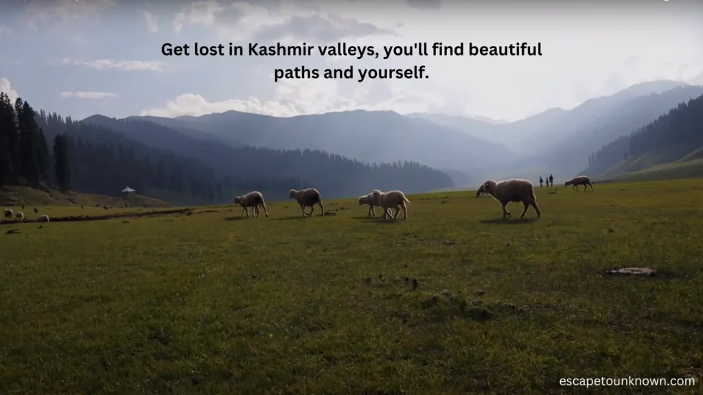 kashmir journey quotes
