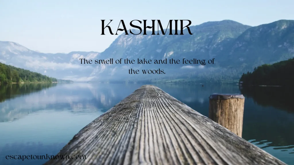 captions for kashmir trip